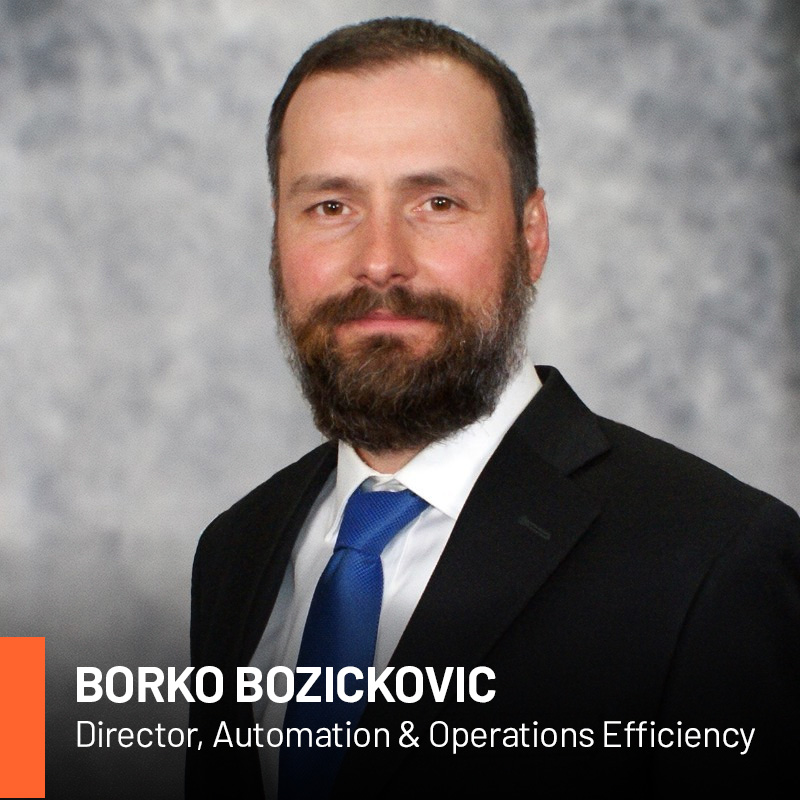 Borko Bozickovic